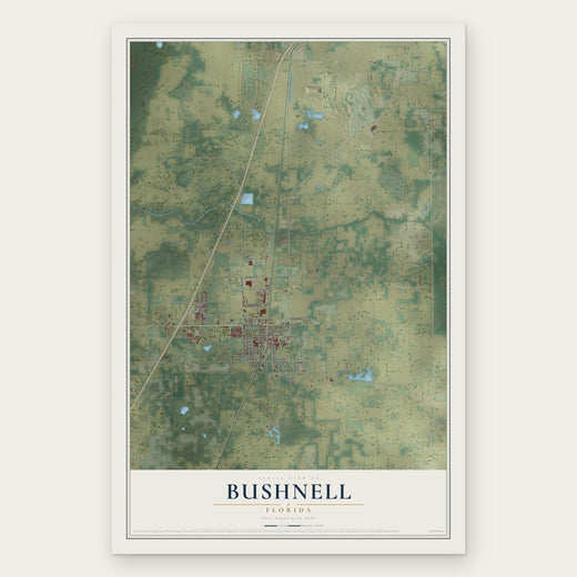 Bushnell, Florida map print, the full design