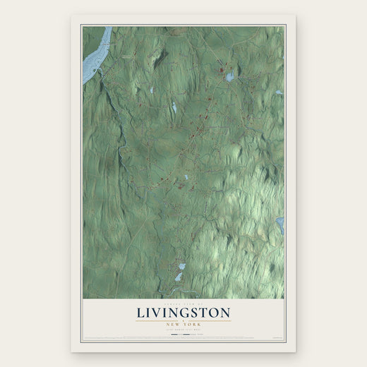 Livingston, New York map print, the full design