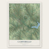 Campobello, South Carolina map print, the full design