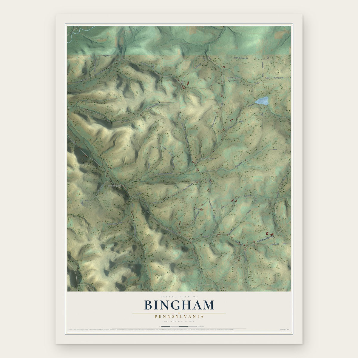 Bingham, Pennsylvania map print, the full design