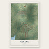 Newark, Texas map print, the full design