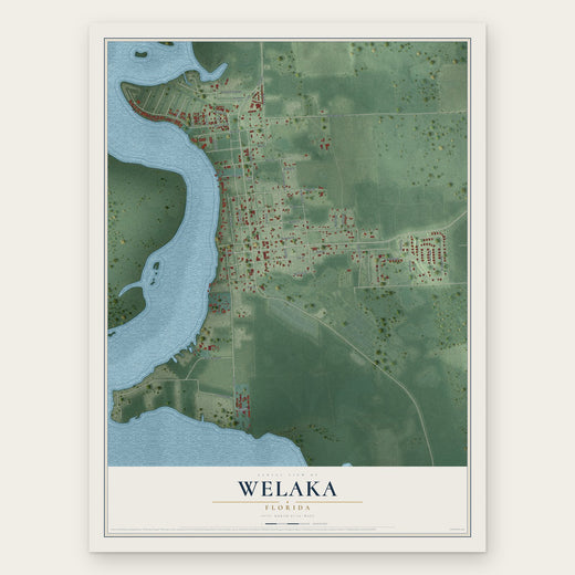 Welaka, Florida map print, the full design
