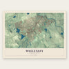 Wellesley, Massachusetts map print, the full design