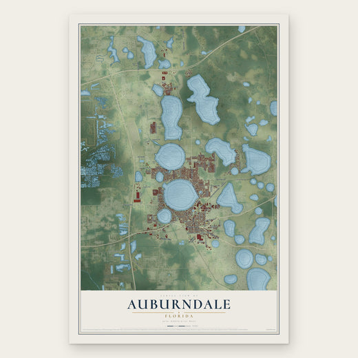 Auburndale, Florida map print, the full design