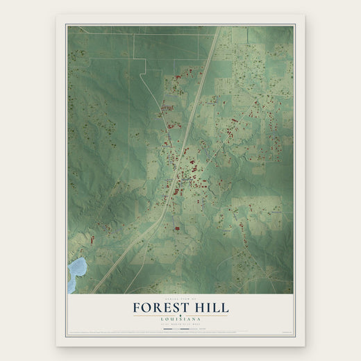 Forest Hill, Louisiana map print, the full design
