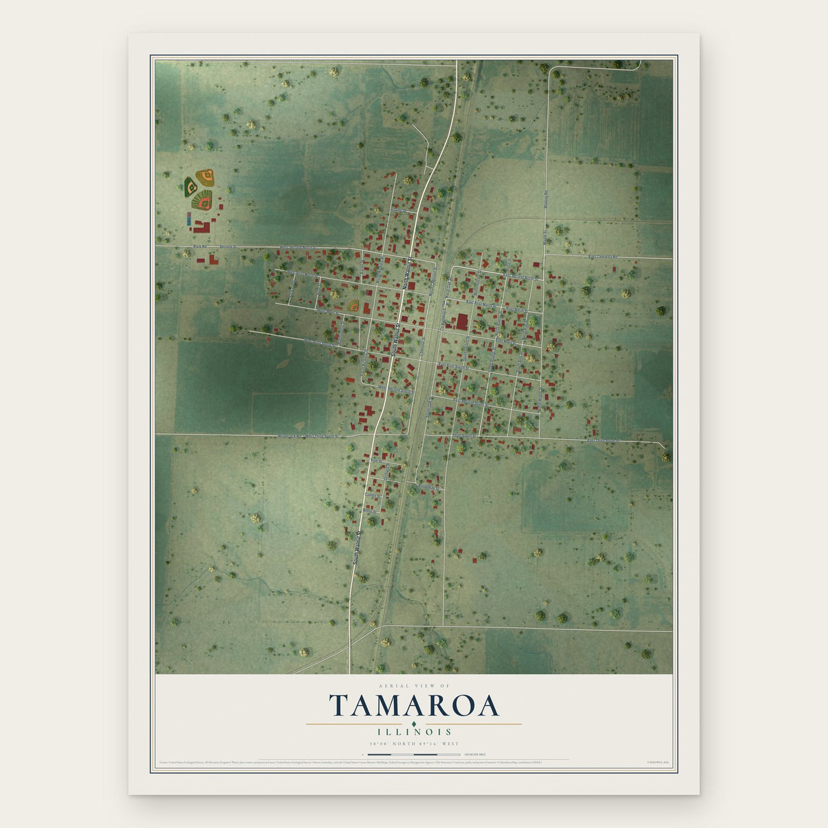 Tamaroa, Illinois map print, the full design