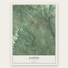 Jasper, Georgia map print, the full design