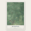 Blissfield, Lenawee County, Michigan map print, the full design