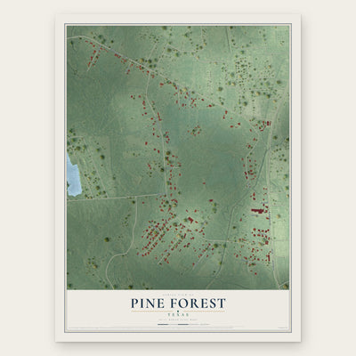 Pine Forest, Texas map print, the full design