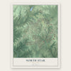 North Star, Delaware map print, the full design