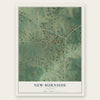 New Burnside, Illinois map print, the full design