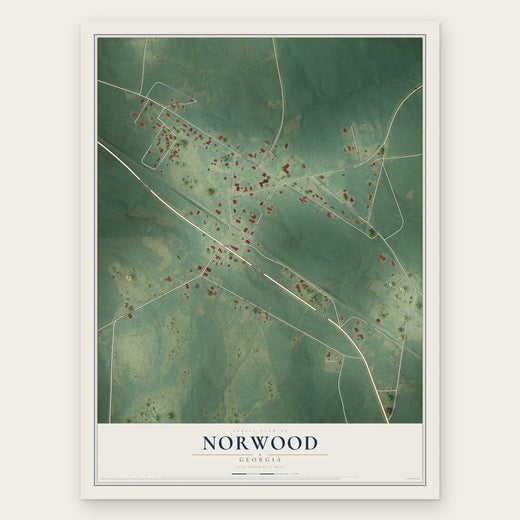 Norwood, Georgia map print, the full design