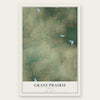 Grays Prairie, Texas map print, the full design