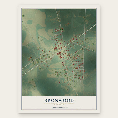 Bronwood, Georgia map print, the full design