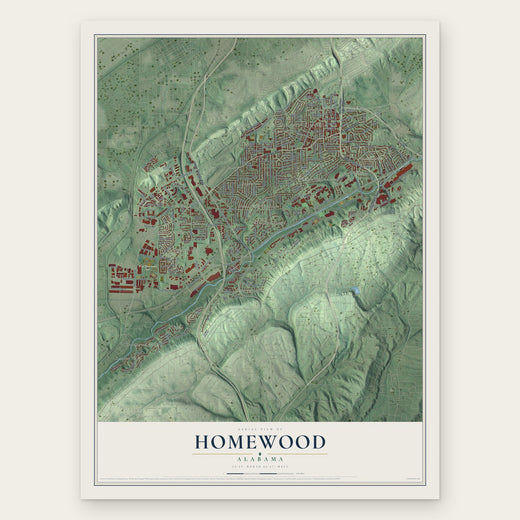 Homewood, Alabama map print, the full design
