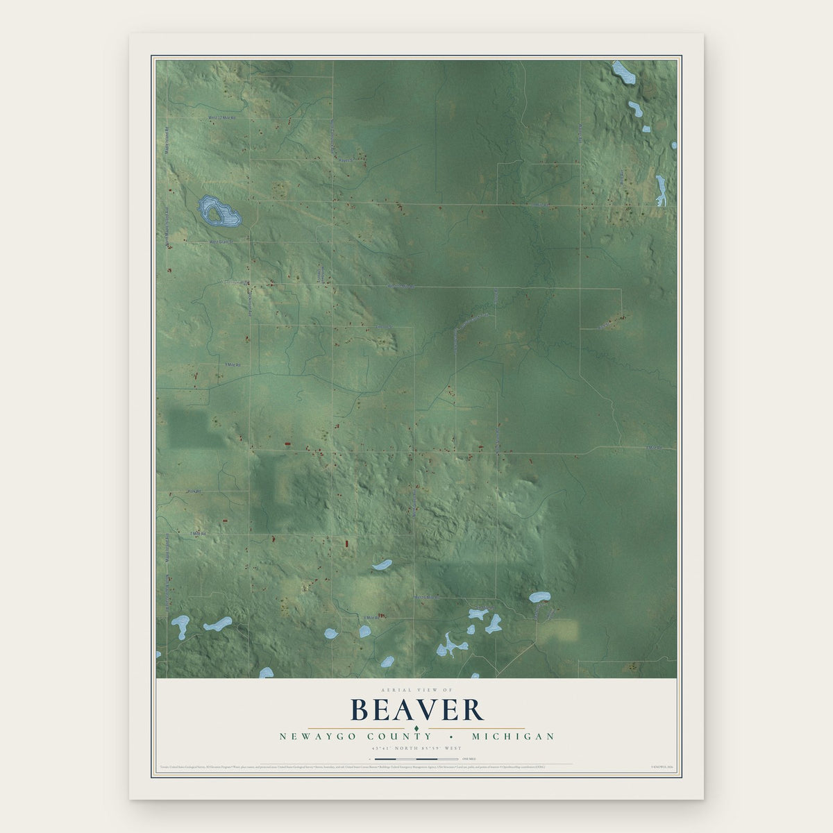 Beaver, Newaygo County, Michigan map print, the full design