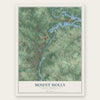 Mount Holly, North Carolina map print, the full design