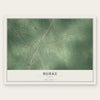 Burke, Texas map print, the full design