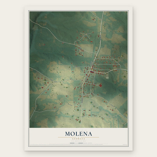 Molena, Georgia map print, the full design