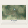 Blossom, Texas map print, the full design