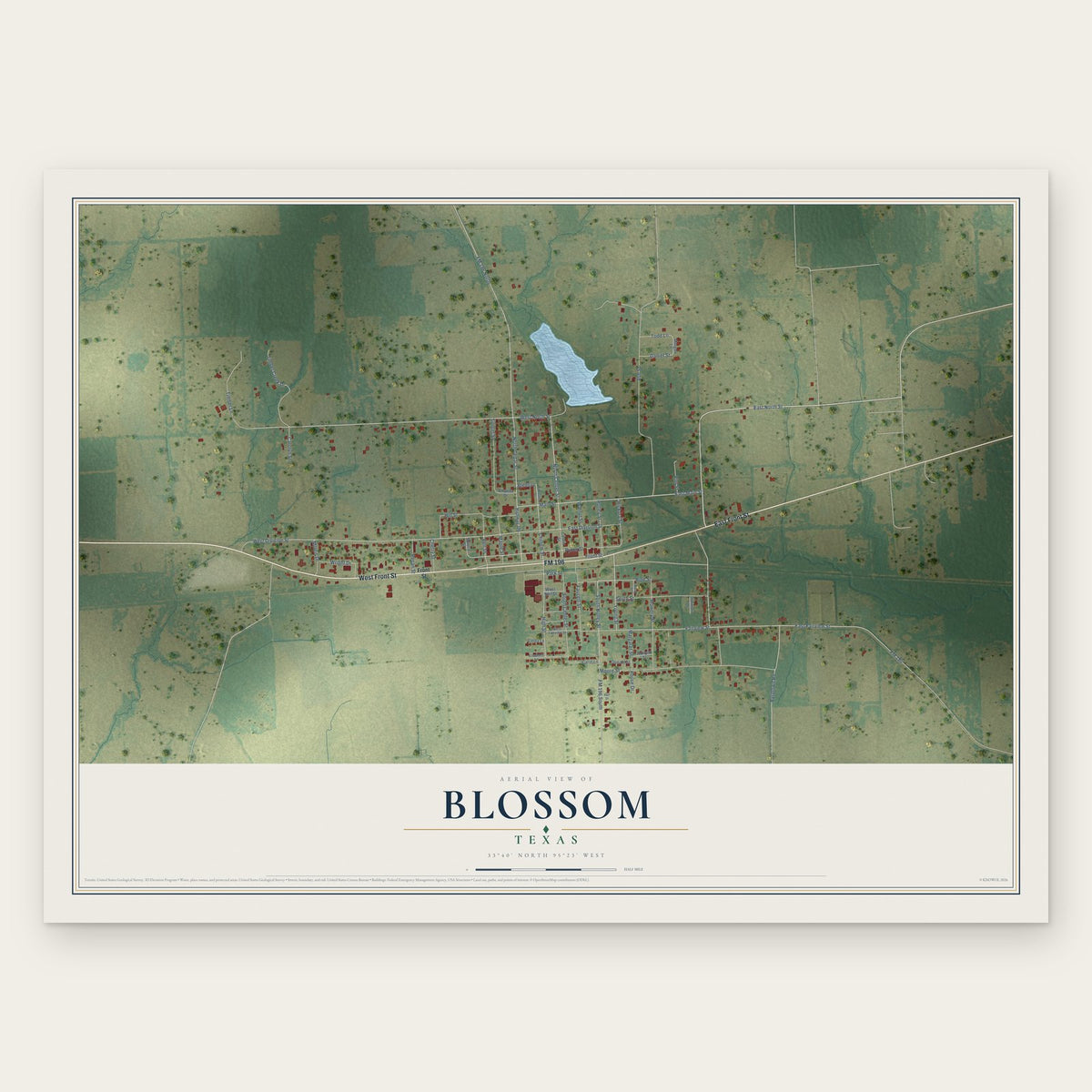 Blossom, Texas map print, the full design