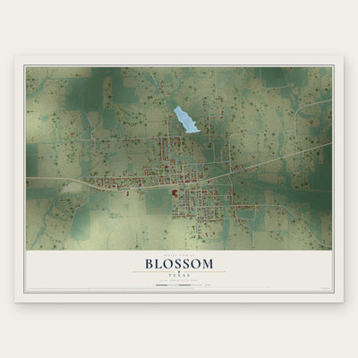 Blossom, Texas map print, the full design