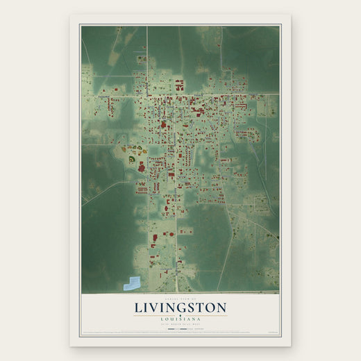 Livingston, Louisiana map print, the full design