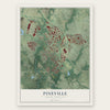 Pineville, North Carolina map print, the full design