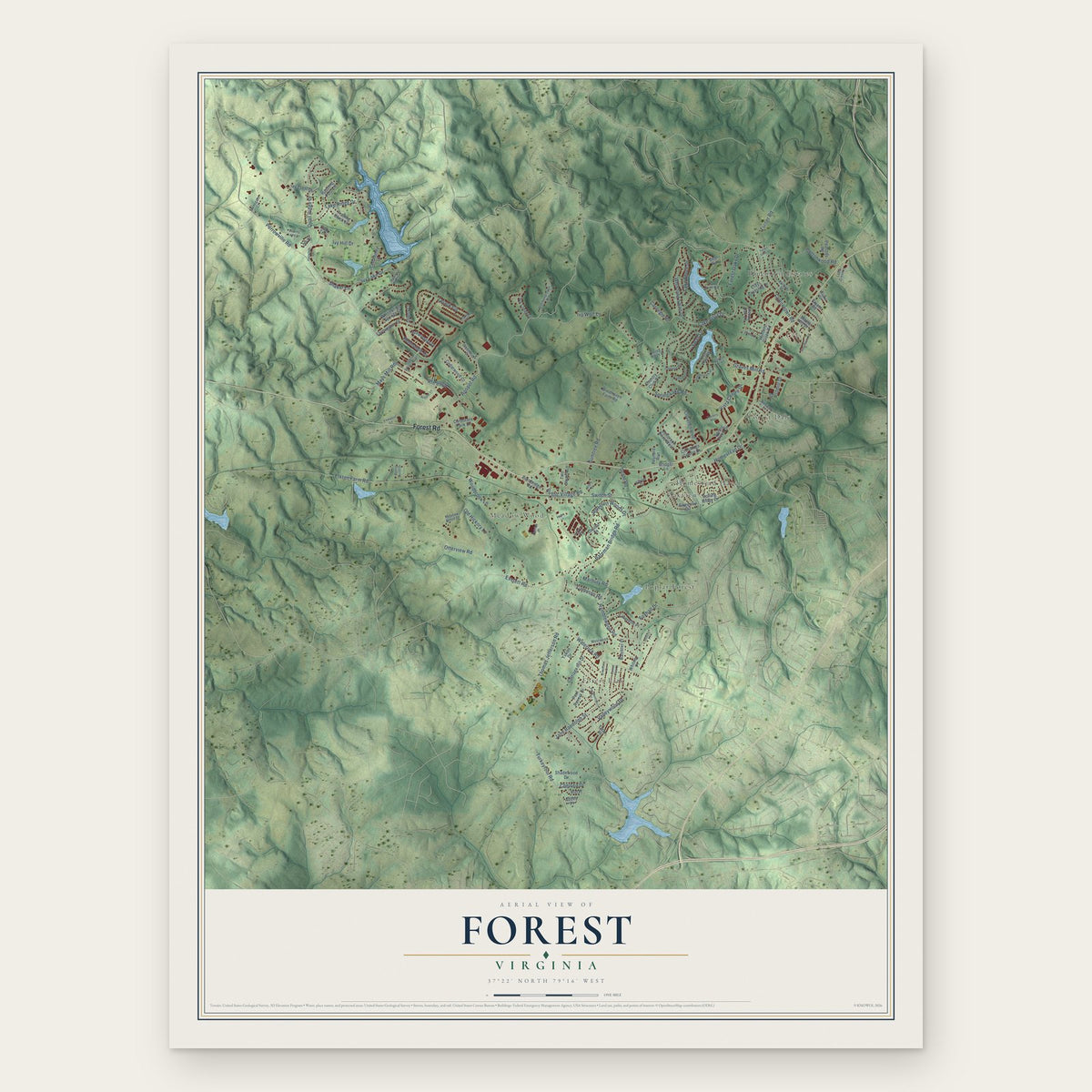 Forest, Virginia map print, the full design