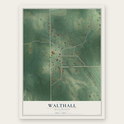 Walthall, Mississippi map print, the full design