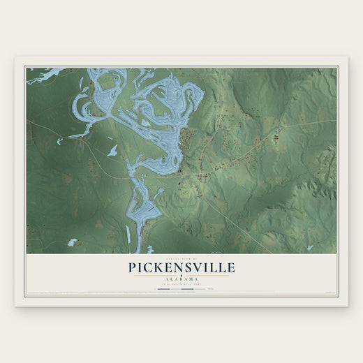 Pickensville, Alabama map print, the full design