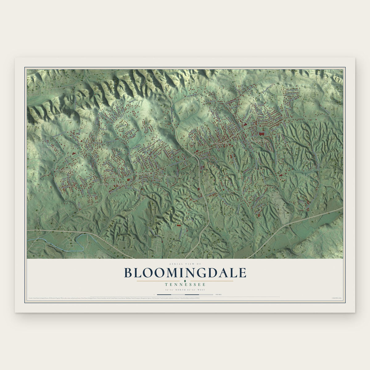 Bloomingdale, Tennessee map print, the full design