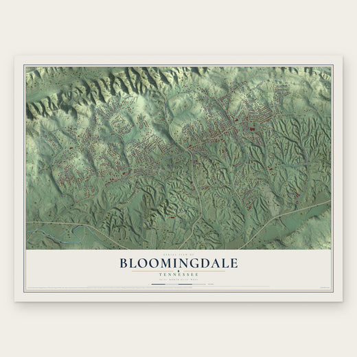 Bloomingdale, Tennessee map print, the full design
