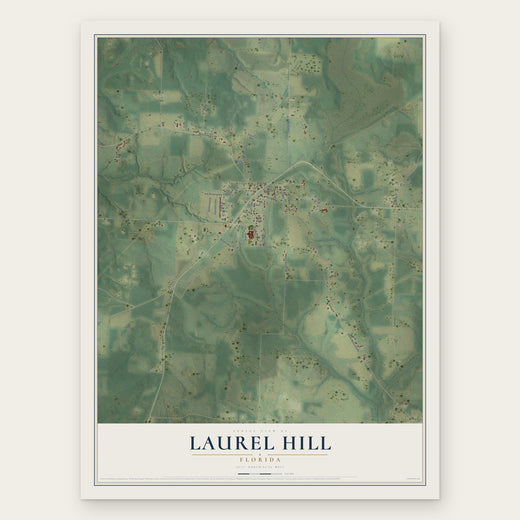 Laurel Hill, Florida map print, the full design