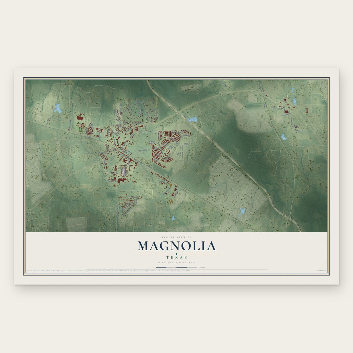 Magnolia, Texas map print, the full design