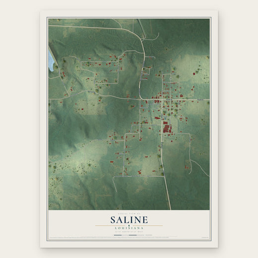 Saline, Louisiana map print, the full design