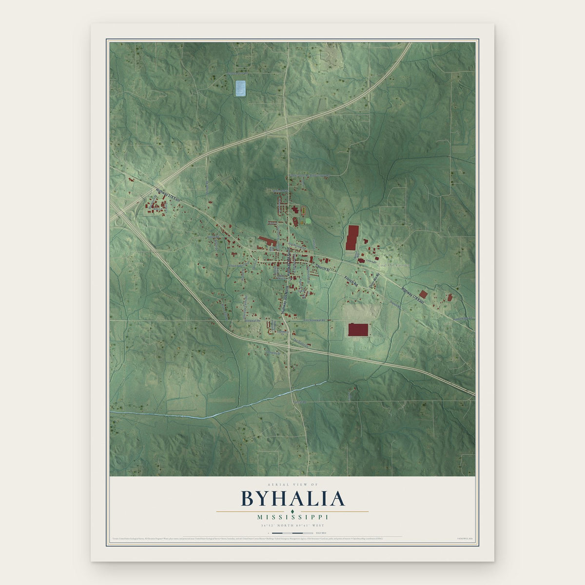 Byhalia, Mississippi map print, the full design