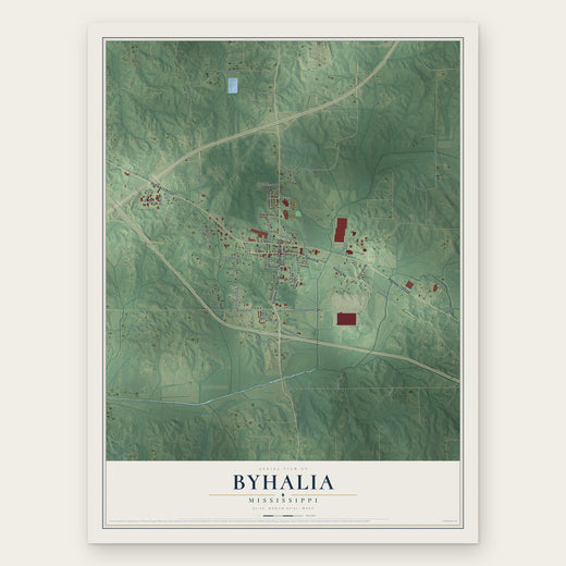Byhalia, Mississippi map print, the full design