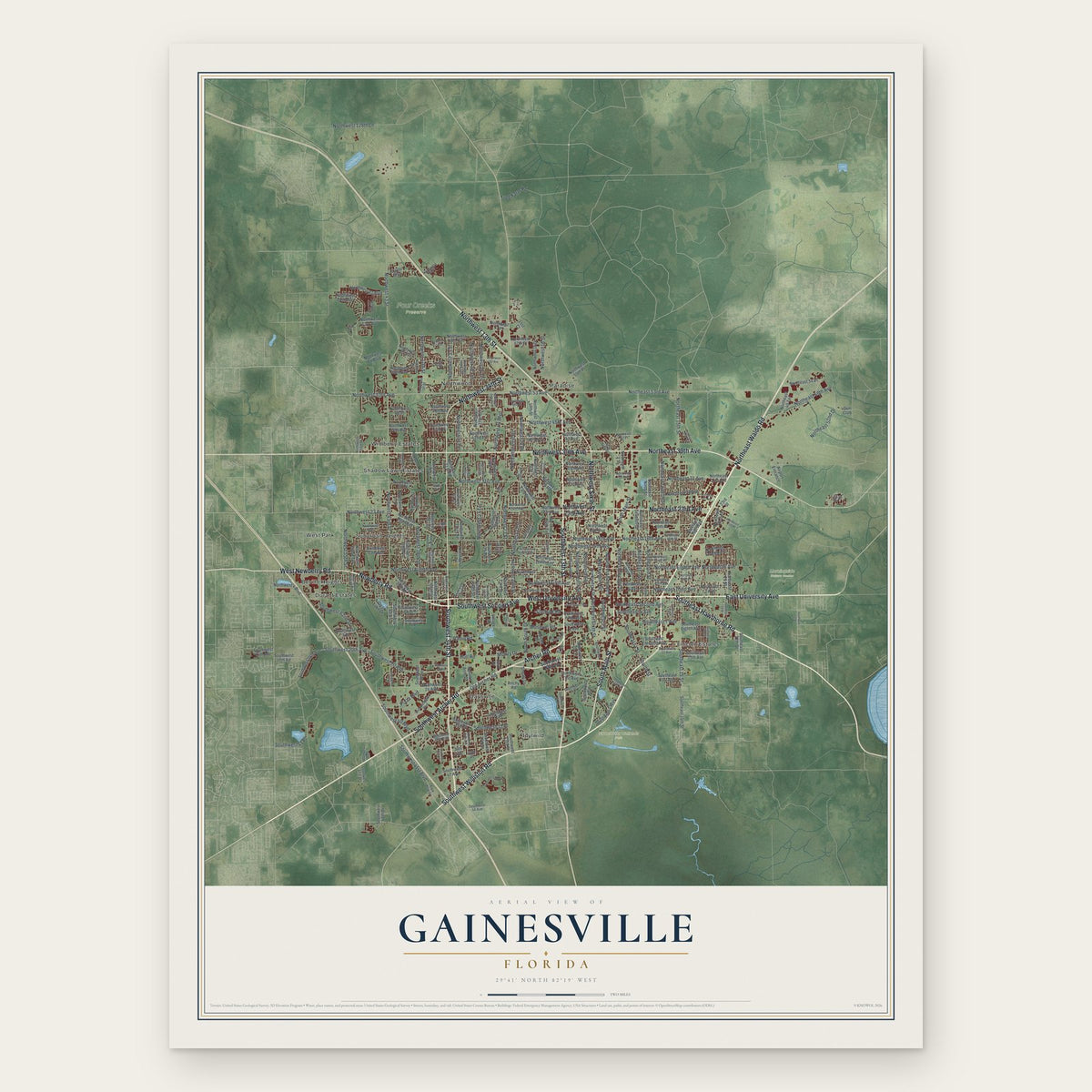 Gainesville, Florida map print, the full design