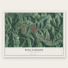 Williamson, West Virginia map print, the full design