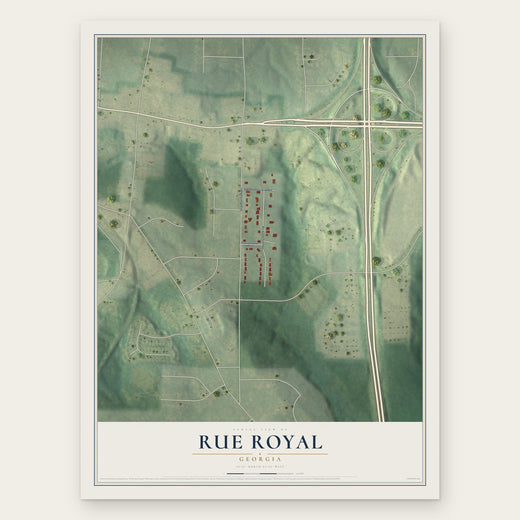 Rue Royal, Georgia map print, the full design