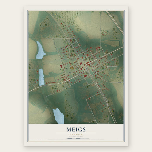 Meigs, Georgia map print, the full design
