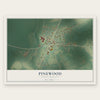 Pinewood, South Carolina map print, the full design