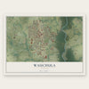 Wauchula, Florida map print, the full design