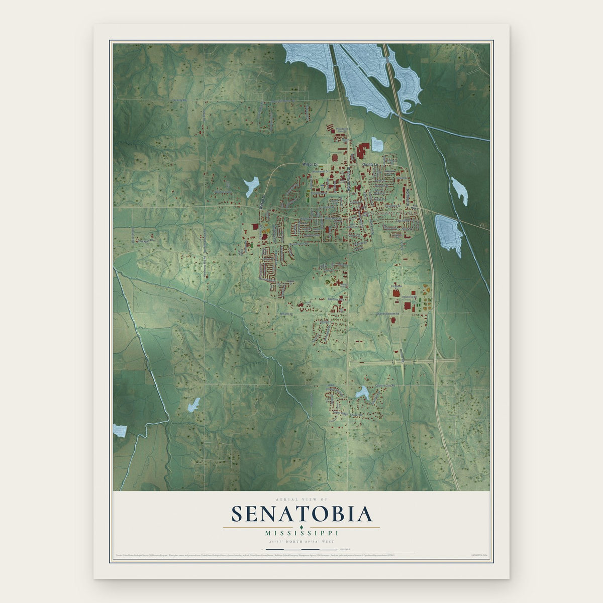 Senatobia, Mississippi map print, the full design
