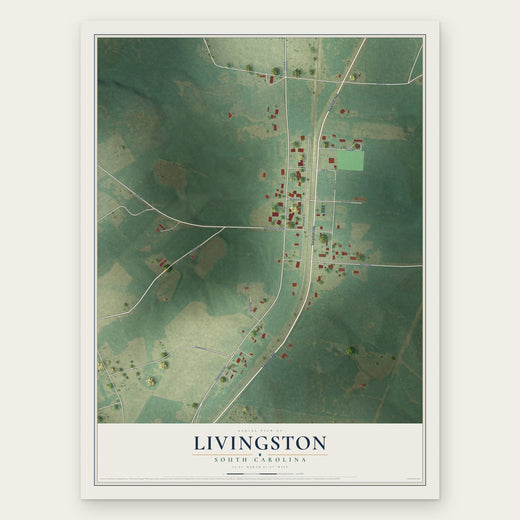 Livingston, South Carolina map print, the full design