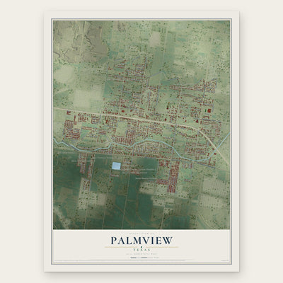 Palmview, Texas map print, the full design