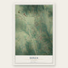 Eolia, Missouri map print, the full design