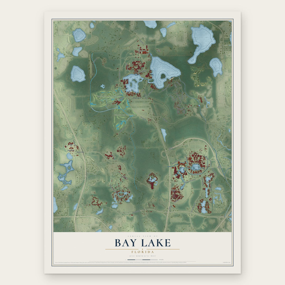 Bay Lake, Florida map print, the full design