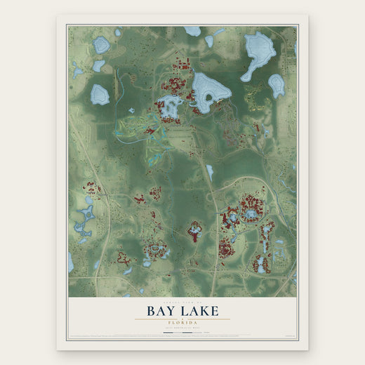 Bay Lake, Florida map print, the full design